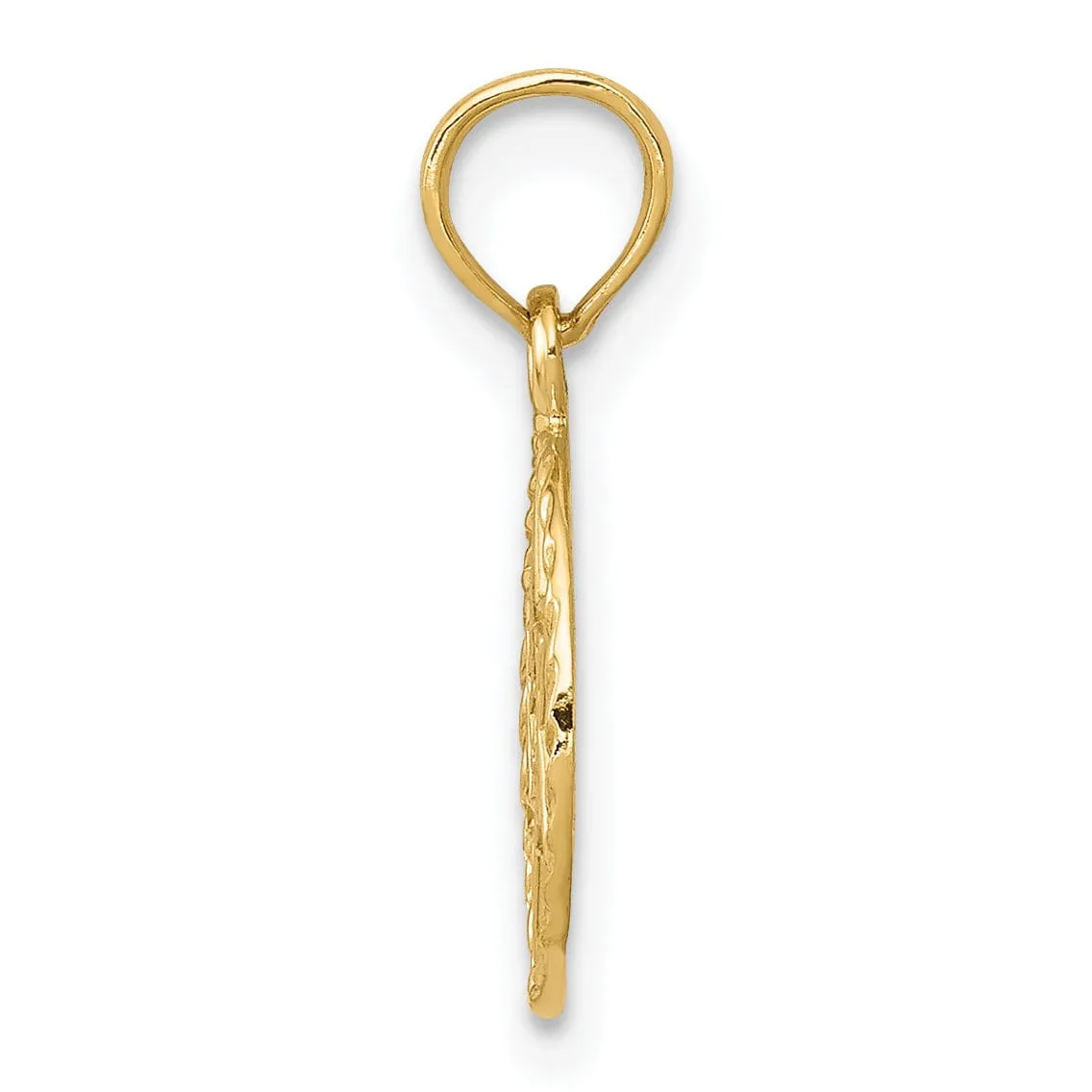 14K Yellow Gold Polished Finish Star of David in Circle Frame Pendant
