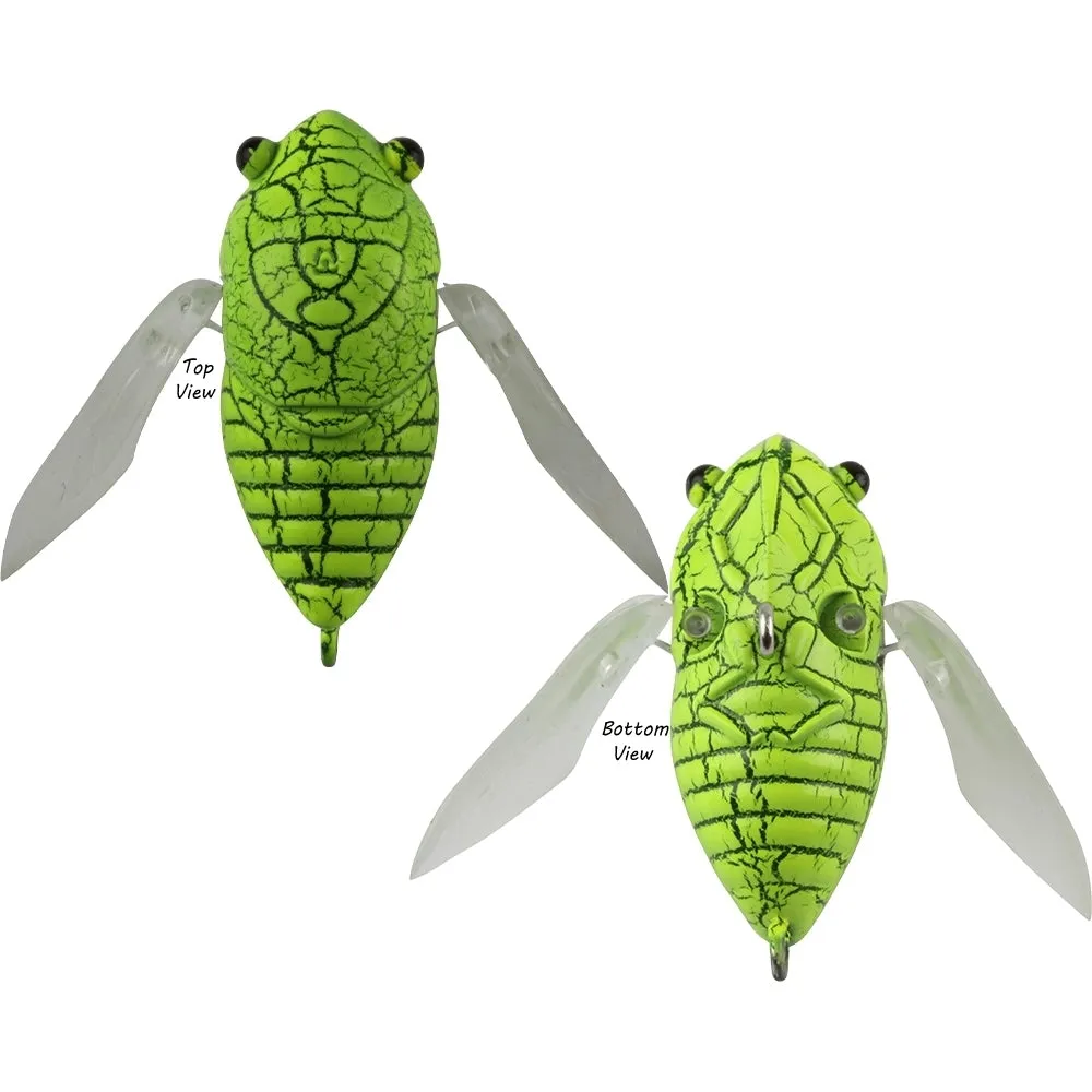 Atomic Hardz Cicada 35