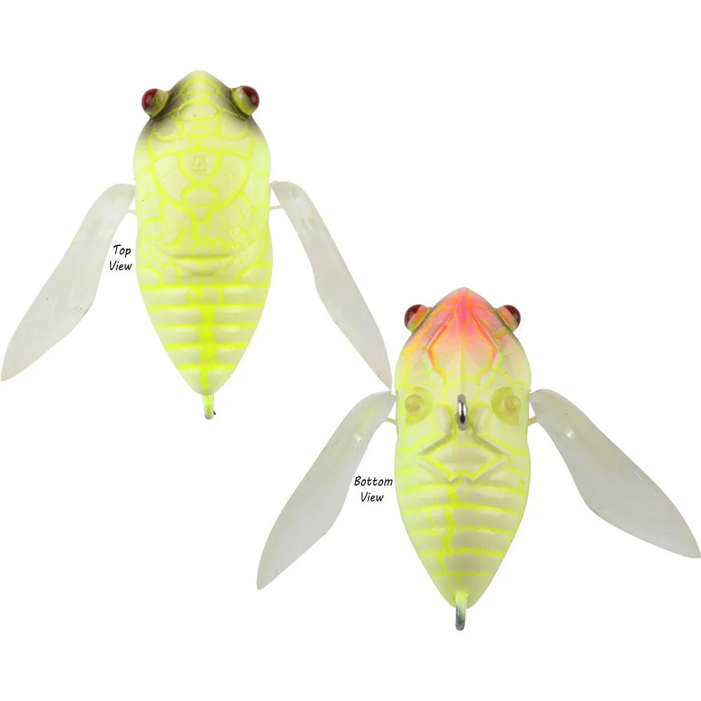 Atomic Hardz Cicada 35