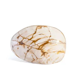 Fossil Bivalve Polished Crystal Shell - Madagascar