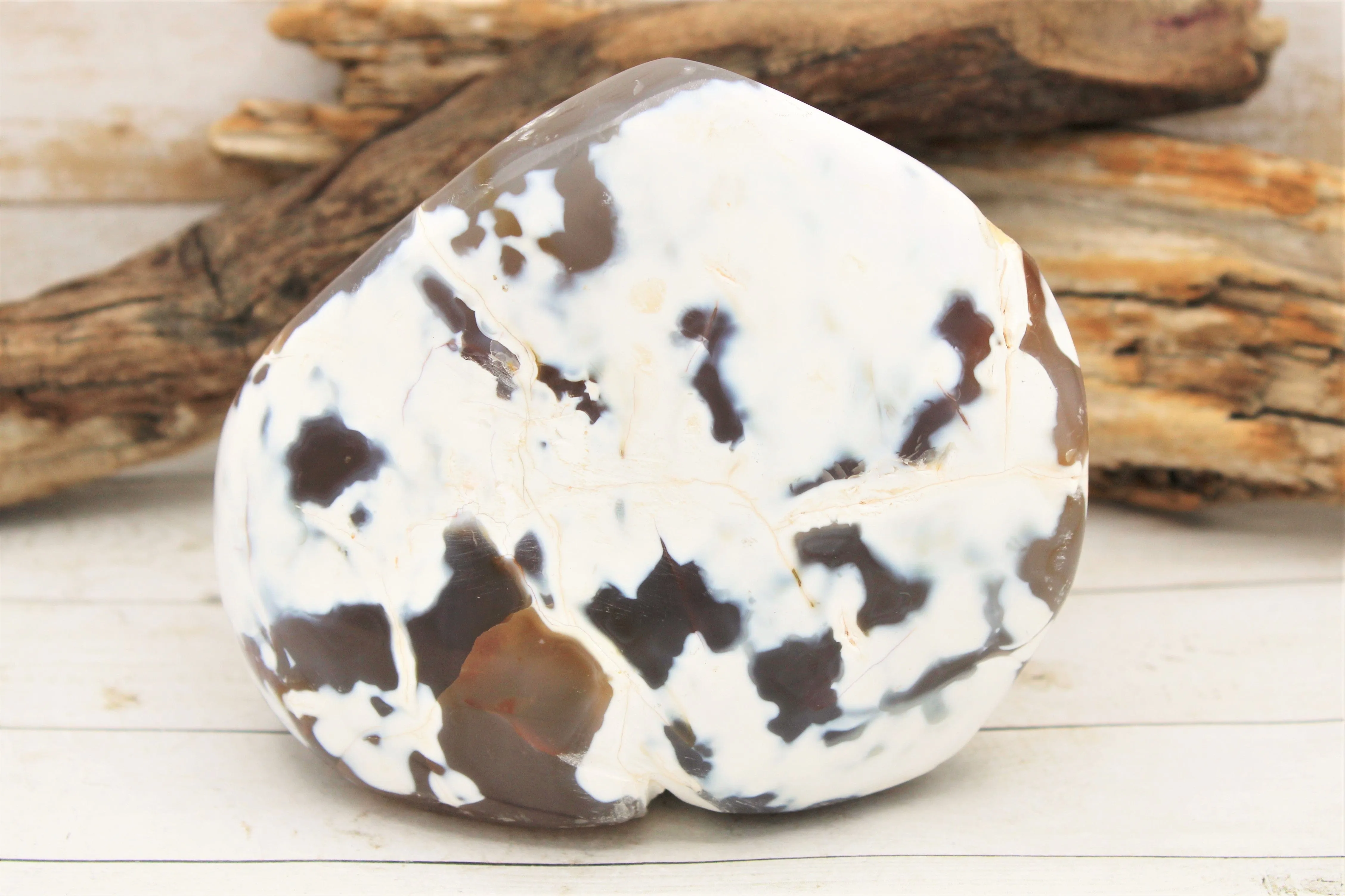 Freeform Polished Agate Specimens