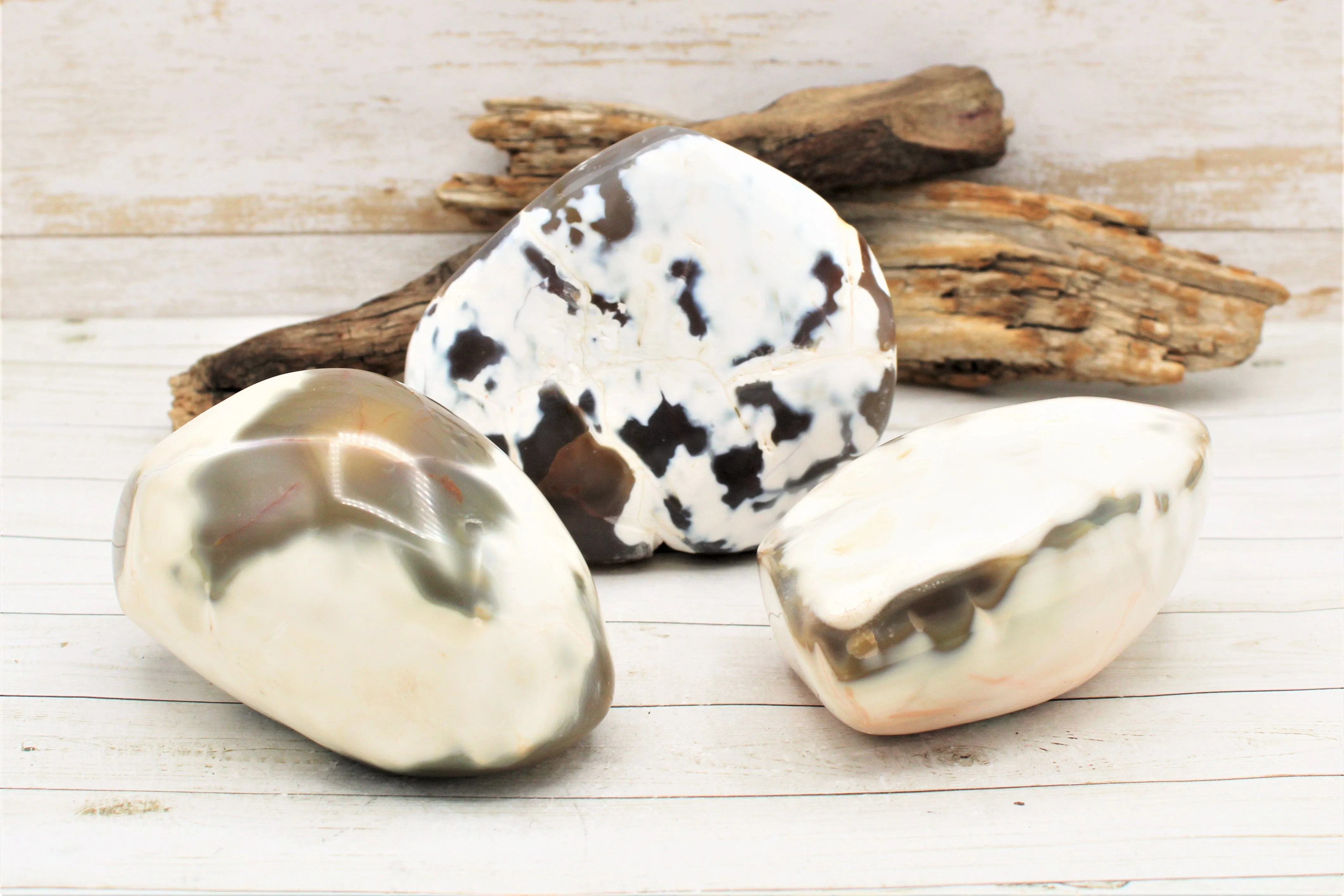 Freeform Polished Agate Specimens
