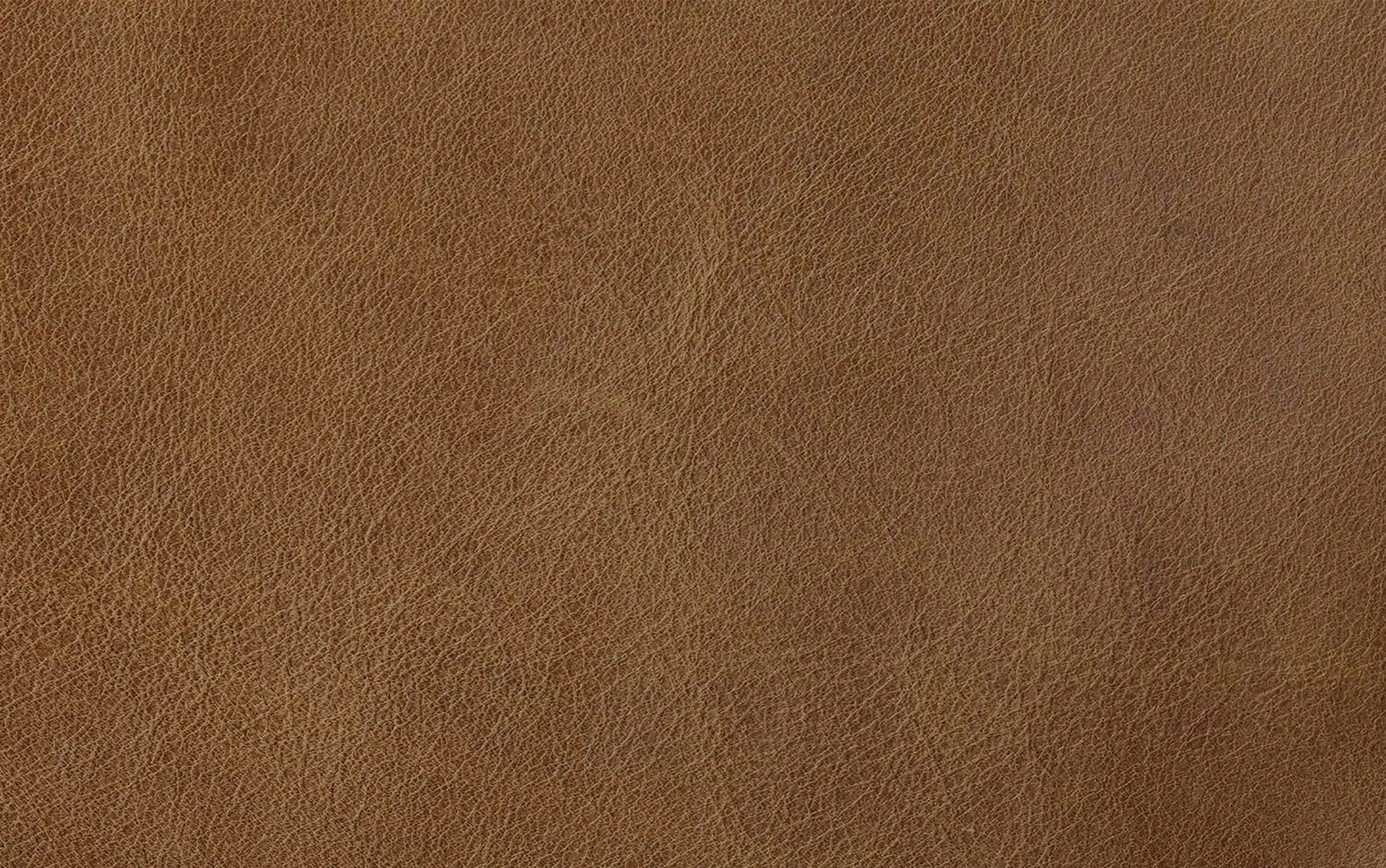 Paloma Accent Chair
