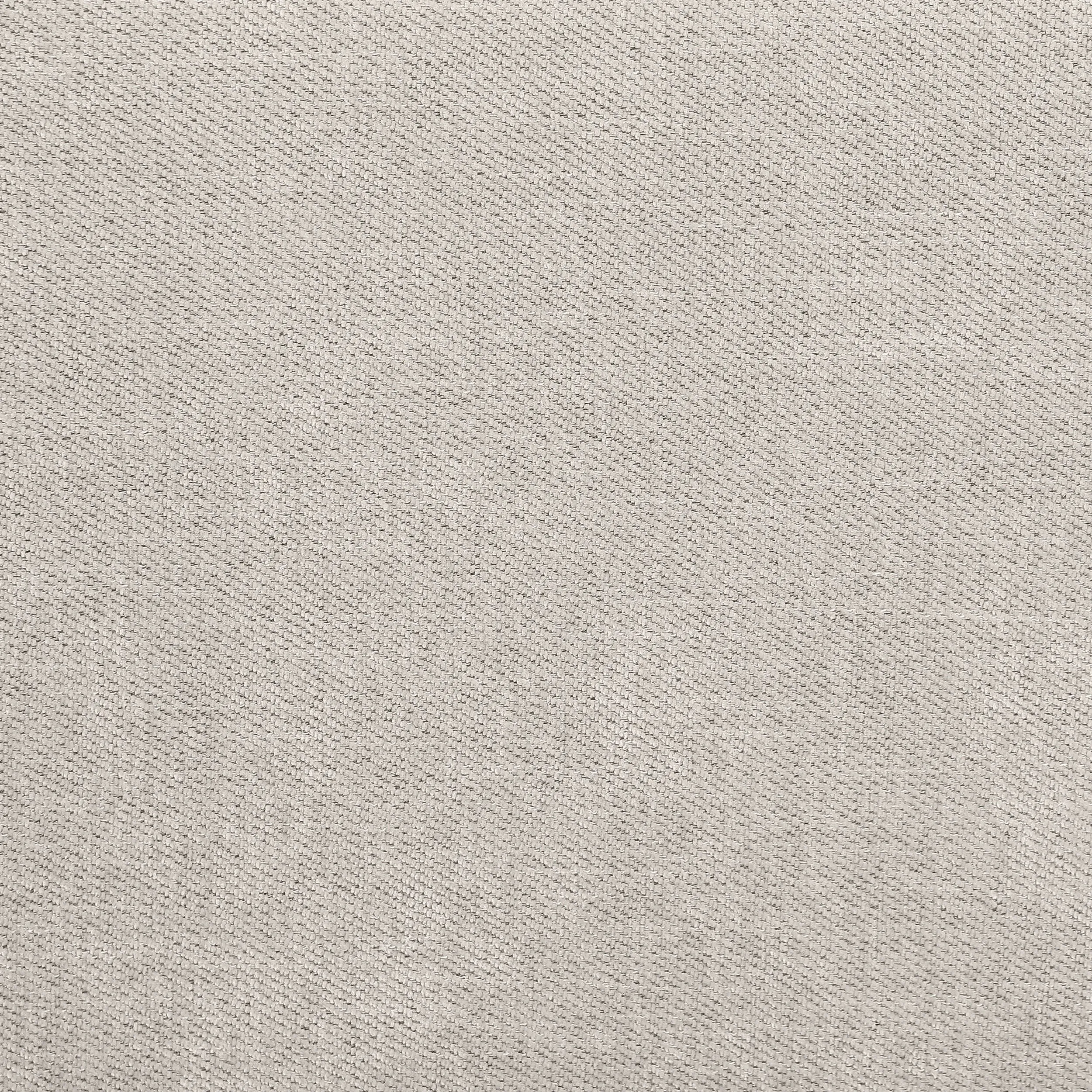 Rylie Upholstered Sofa Sleeper with Queen Mattress Beige
