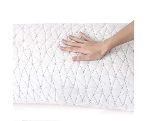 Set of 2 Rayon Single Memory Foam Pillow