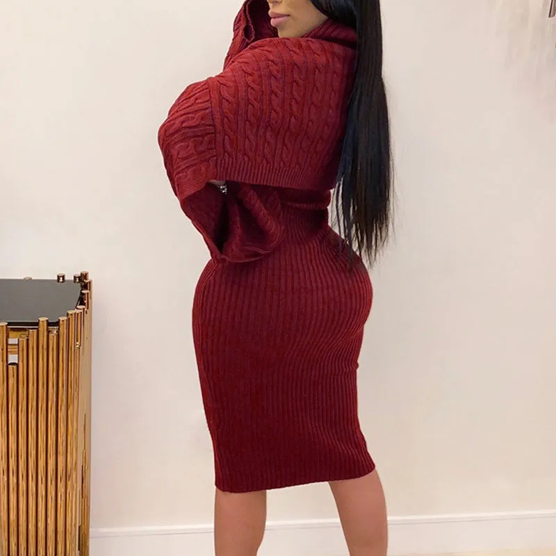 Solid Turtle Neck Long Sleeve Sweater & Dress Set