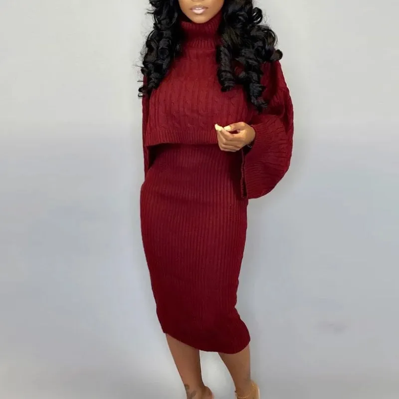 Solid Turtle Neck Long Sleeve Sweater & Dress Set