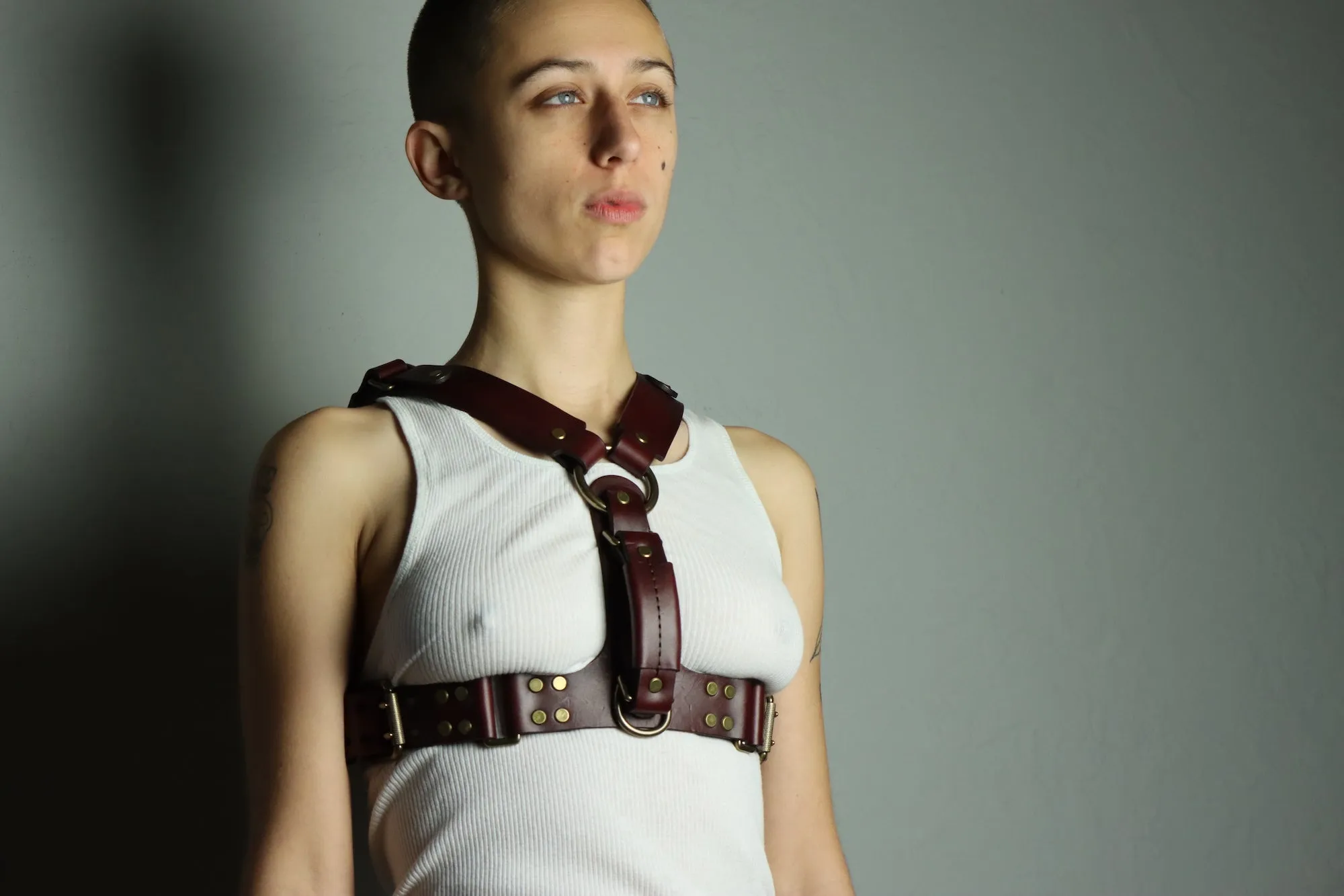 The Oliver Harness