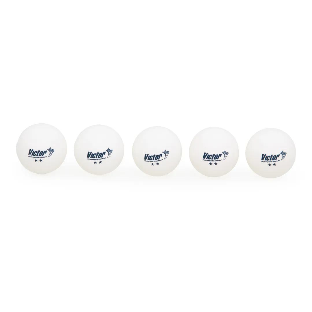 Victor Table Tennis Balls Bucket (5 Doz)