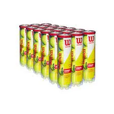 Wilson Championship Extra Duty Case (18 cans/72 balls)
